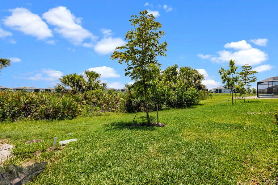 51-web-or-mls-941A6546