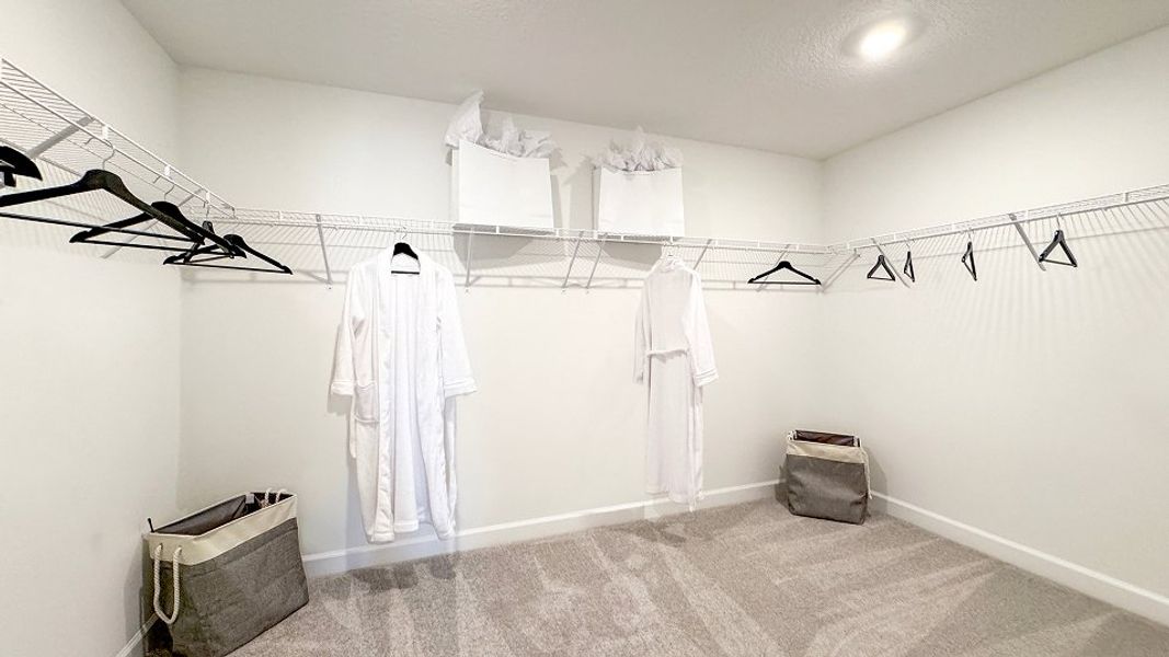 N003 Celeste Owners Closet F1