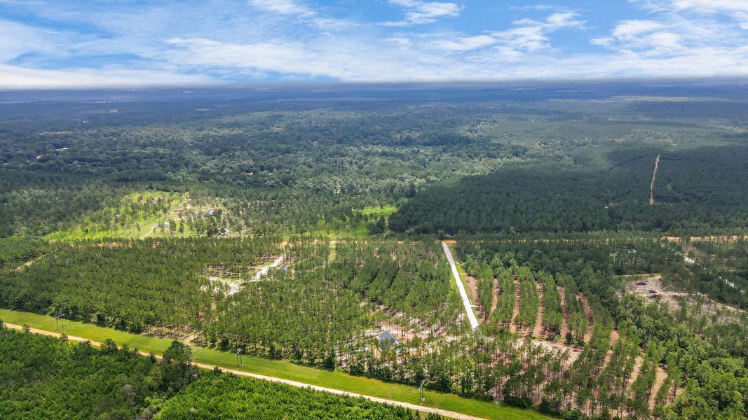 Natural landscape and outdoor views near  in Livingston (Image 37).