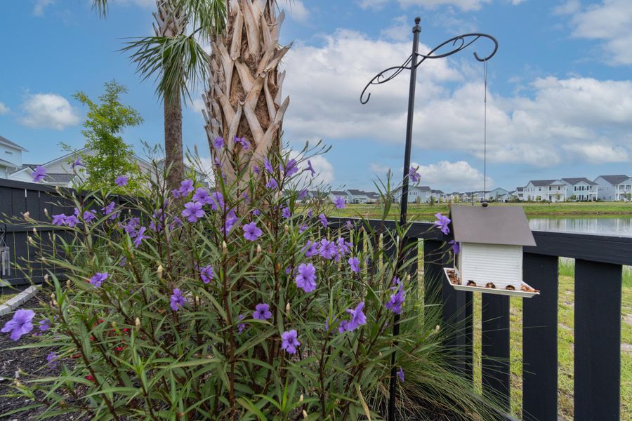 Image 55 of a home in Carnes Crossroads.