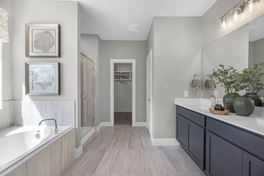 Owner's Bath
