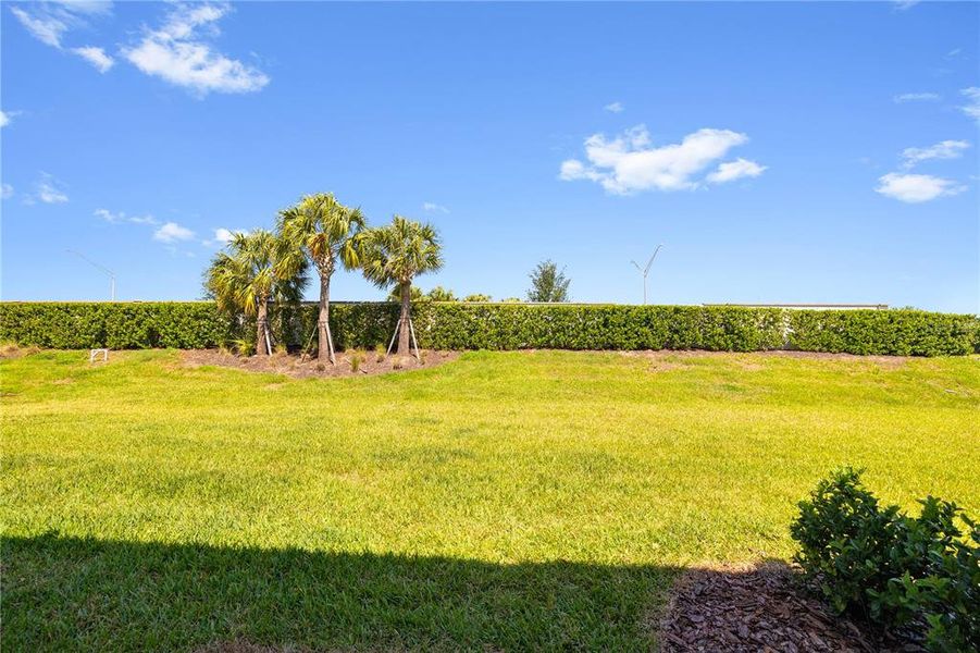 Natural landscape and outdoor views near  in Bradenton (Image 58).