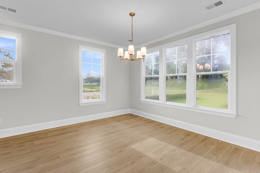 Spacious, unfurnished interior of a new home in Pineland Preserve, Summerville (Image 26).