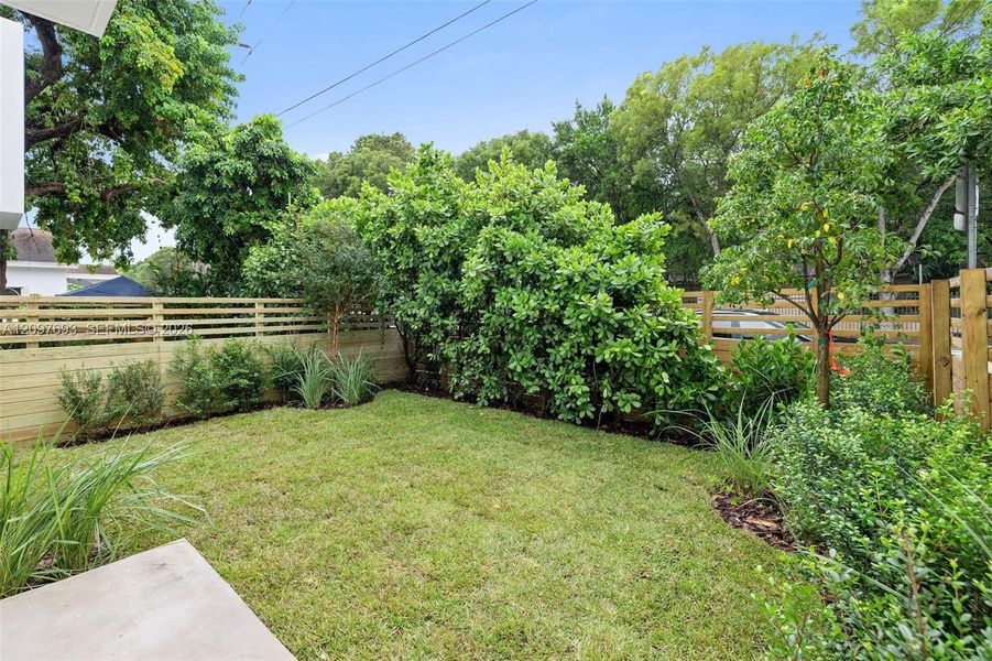 Natural landscape and outdoor views near  in South Miami (Image 28).