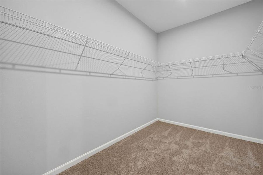 Spacious, unfurnished interior of a new home in Pendleton at Chapel Crossings, Wesley Chapel (Image 14).