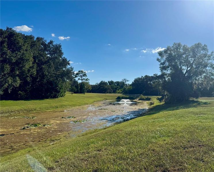 Natural landscape and outdoor views near in Tarpon Springs (Image 15). Natural landscape and outdoor views near in Tarpon Springs (Image 15).