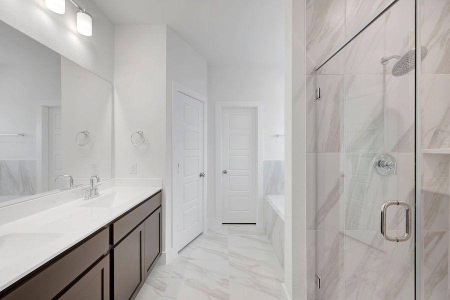 Owner's Bathroom
