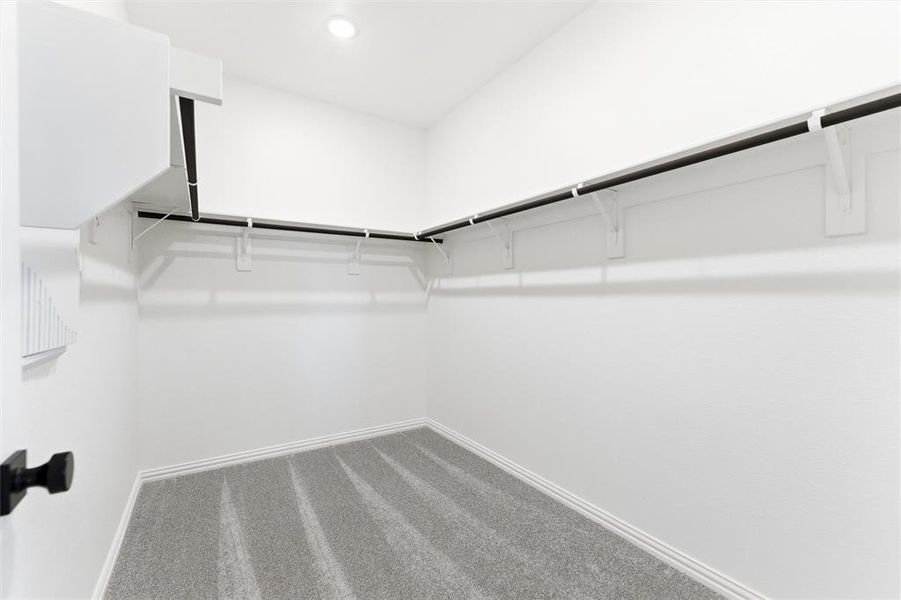 Walk in closet featuring carpet