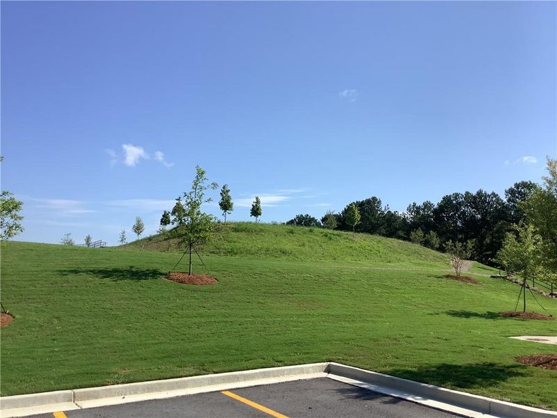 Natural landscape and outdoor views near The Emery in Villa Rica (Image 14).