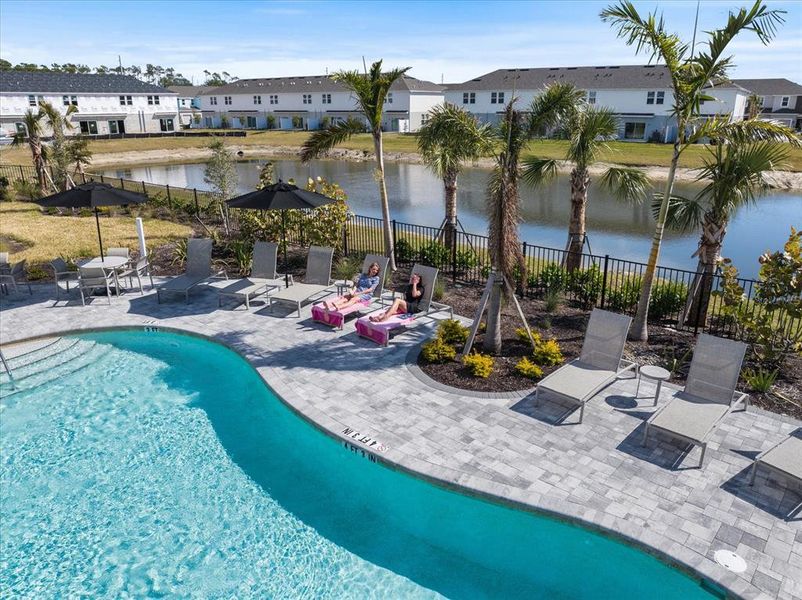 Community amenities in , Sarasota (Image 35). Community amenities in , Sarasota (Image 35).