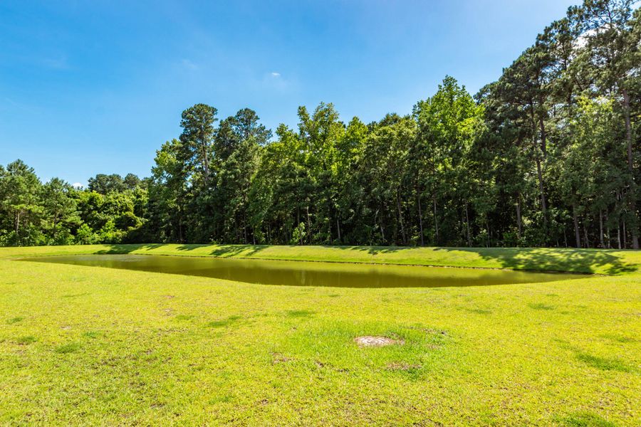 Natural landscape and outdoor views near in Summerville (Image 43). Natural landscape and outdoor views near in Summerville (Image 43).