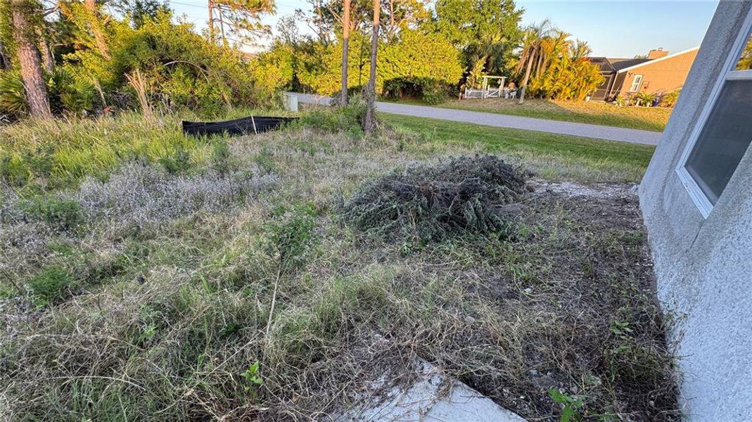 Natural landscape and outdoor views near  in Port Charlotte (Image 42).