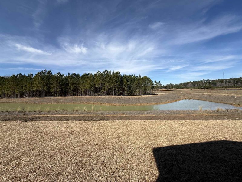 Natural landscape and outdoor views near Westwood Reserve in Conway (Image 30).