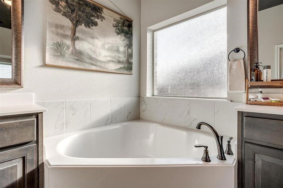 Bathroom featuring a bathing tub, plenty of natural light, and vanity