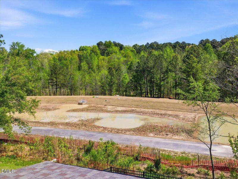 45-Primary Bedroom View