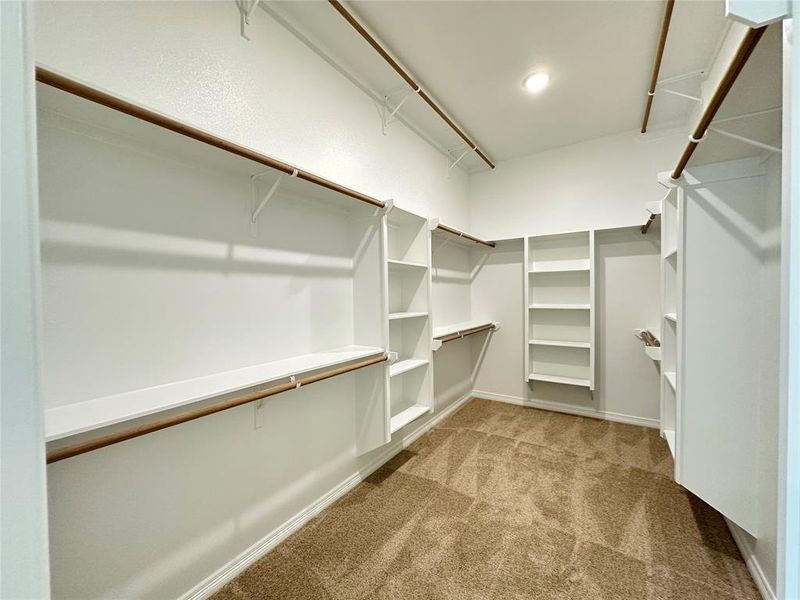 Walk in closet featuring light colored carpet
