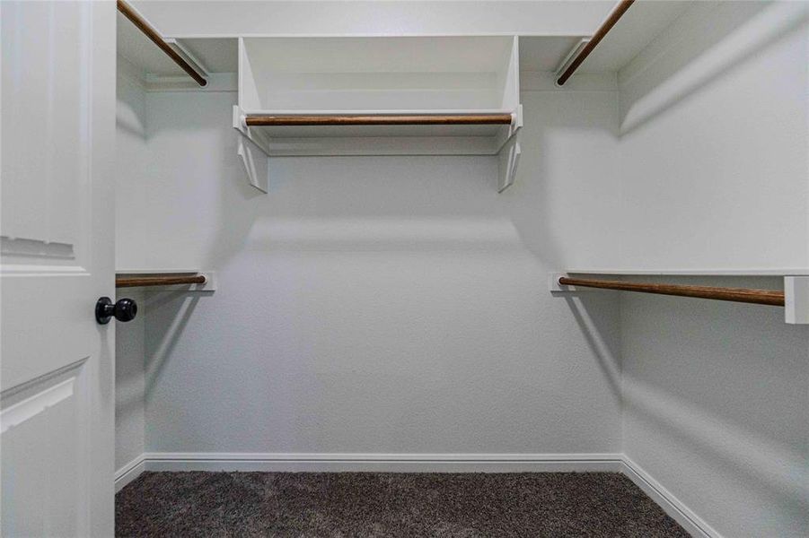 Spacious closet featuring carpet