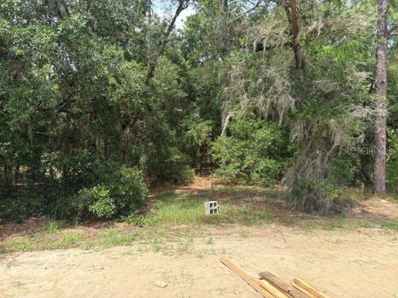 Natural landscape and outdoor views near in Dunnellon (Image 10). Natural landscape and outdoor views near in Dunnellon (Image 10).