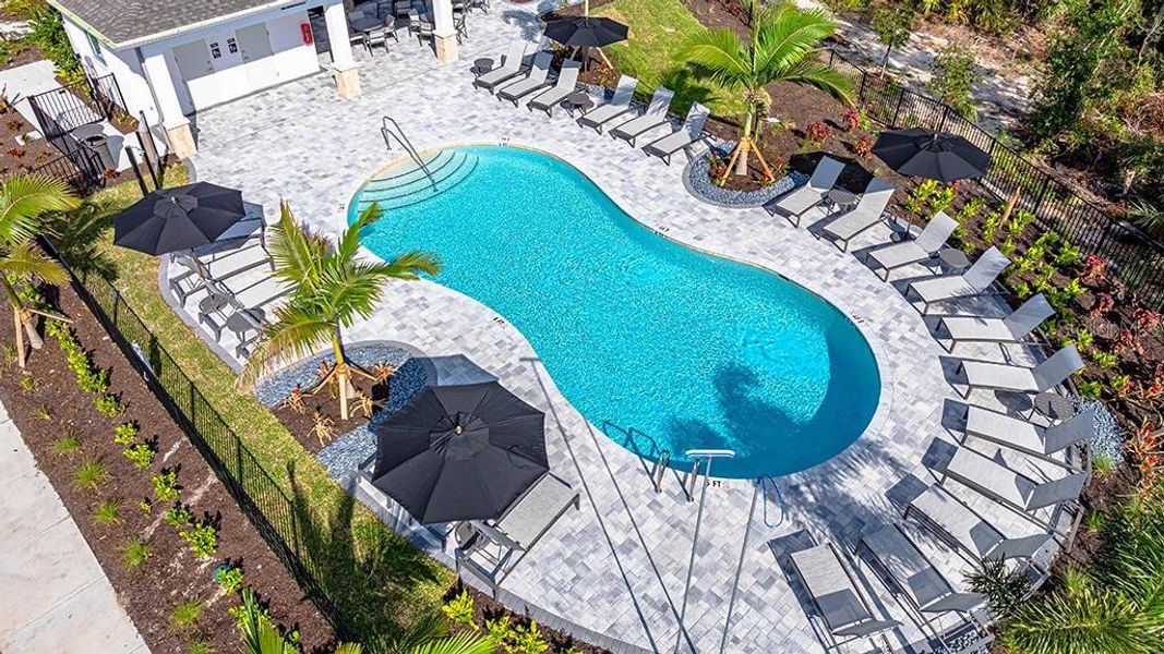 Community amenities in Tiburon, Nokomis (Image 23). Community amenities in Tiburon, Nokomis (Image 23).