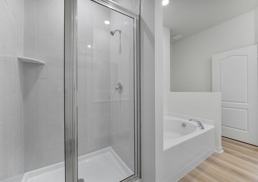 Seperate shower and tub in the master bathroom