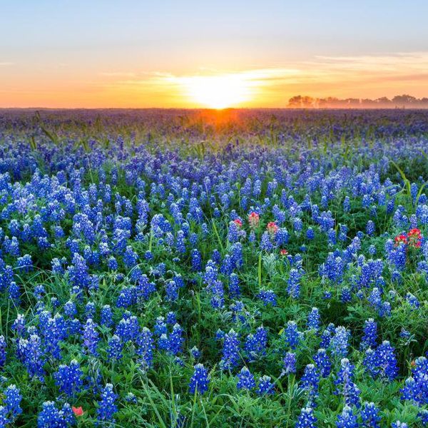 Natural landscape and outdoor views near Wolf Ranch: 46ft. lots in Georgetown (Image 23). Natural landscape and outdoor views near Wolf Ranch: 46ft. lots in Georgetown (Image 23).