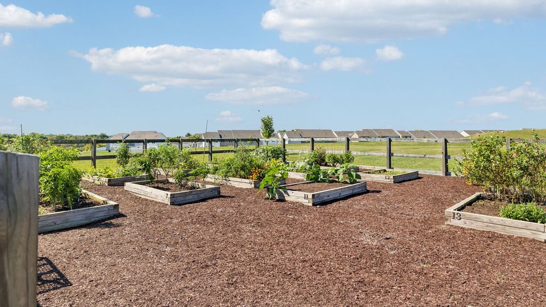 Community amenities in Harvest Point, Spring Hill (Image 11).