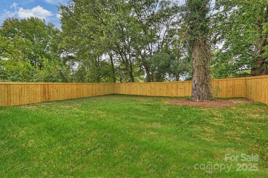 Natural landscape and outdoor views near  in Charlotte (Image 42).