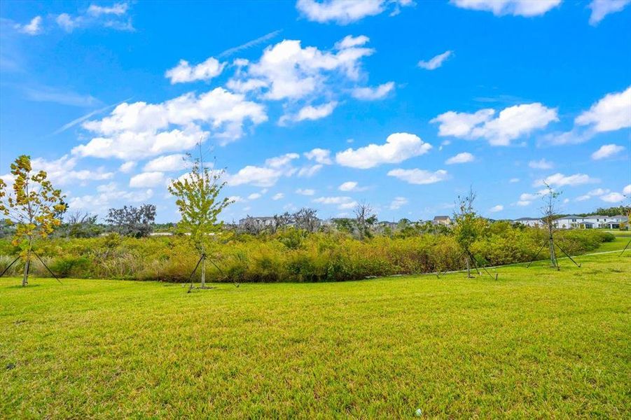 Natural landscape and outdoor views near Chapel Crossings in Wesley Chapel (Image 28). Natural landscape and outdoor views near Chapel Crossings in Wesley Chapel (Image 28).
