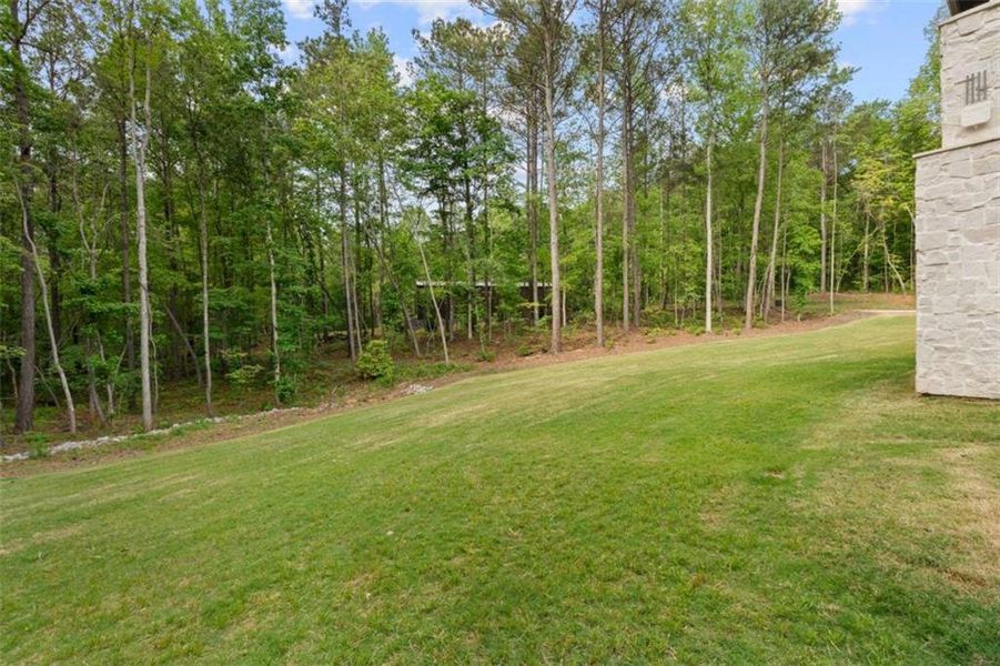 Natural landscape and outdoor views near  in Whitesburg (Image 50).