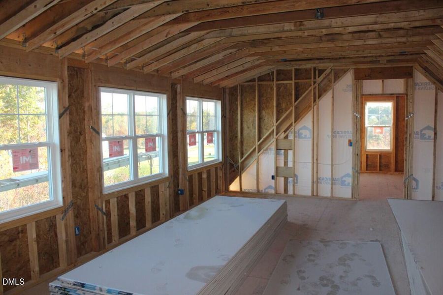 IMG_6967 (Medium) IMG_6967 (Medium)