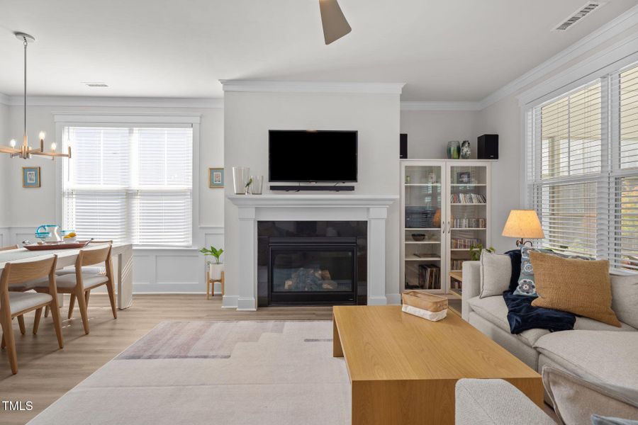 1753 Birdhaven- fireplace 1