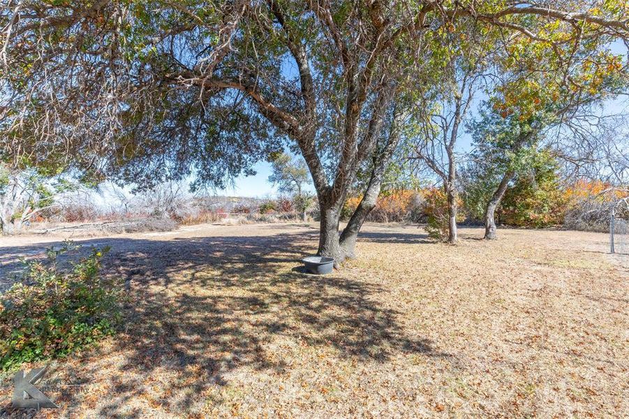 Natural landscape and outdoor views near  in Abilene (Image 28).