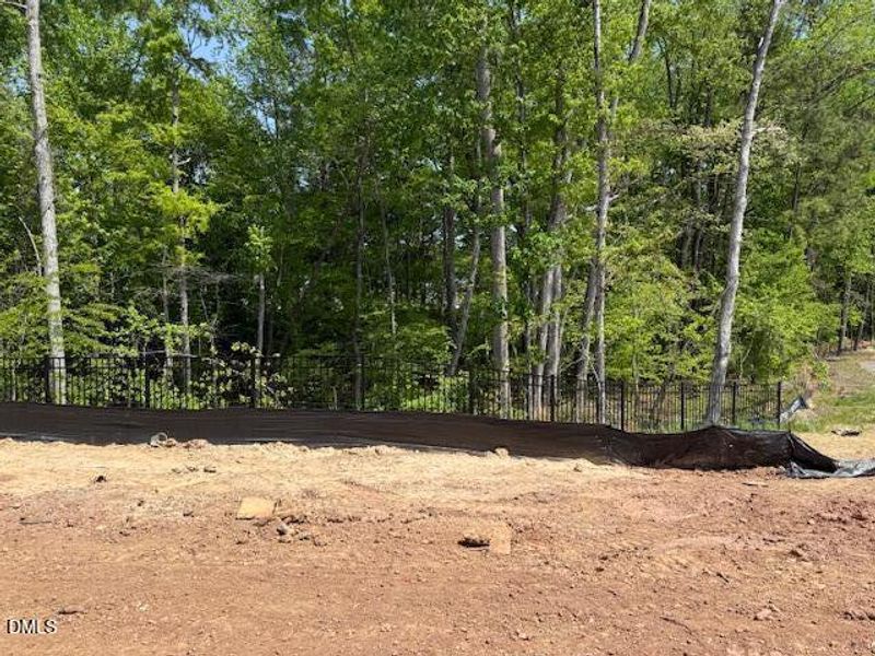 RUNTH 67 - back yard