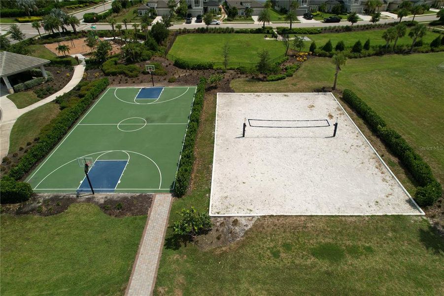 Basketball/Volleyball