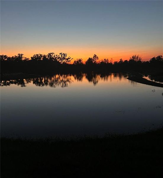 Natural landscape and outdoor views near Farm at Varrea in Plant City (Image 62).