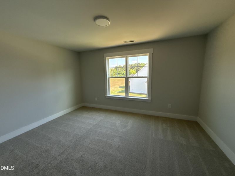 IMG_1816 IMG_1816