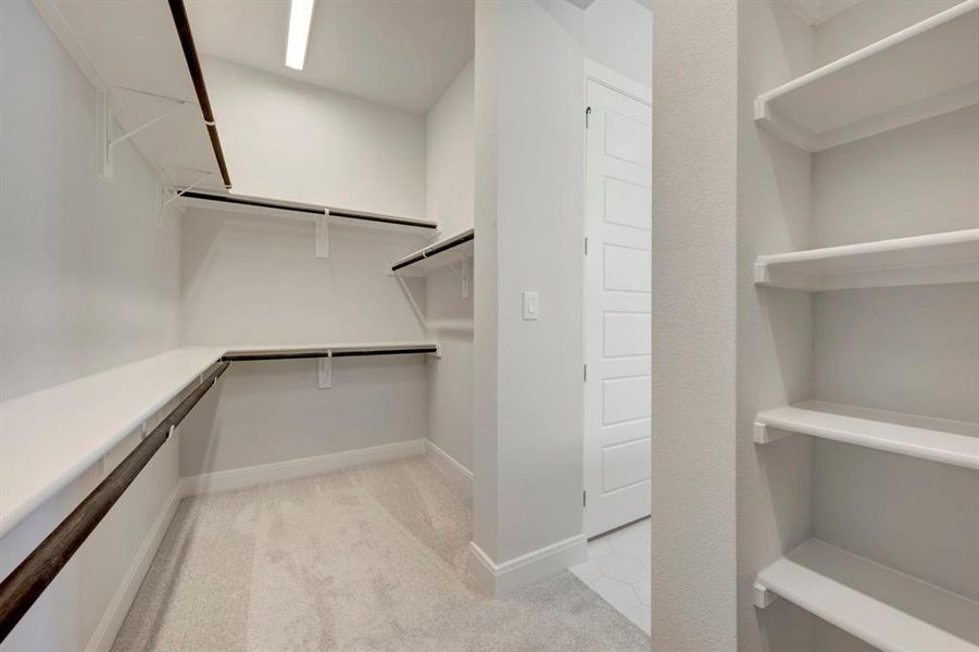 Walk in closet with light colored carpet