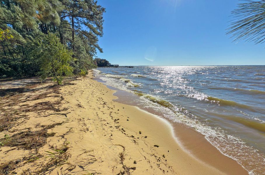 Natural landscape and outdoor views near  in Bonneau (Image 36).