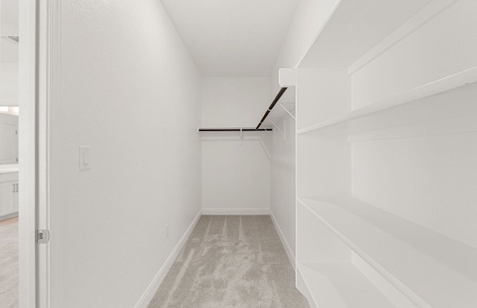 Primary Closet