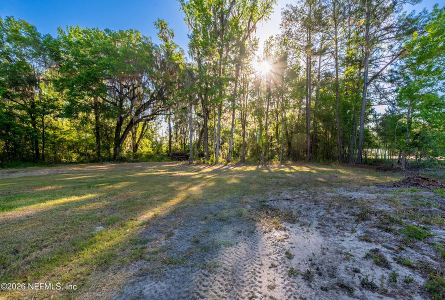 Natural landscape and outdoor views near  in Gainesville (Image 22).