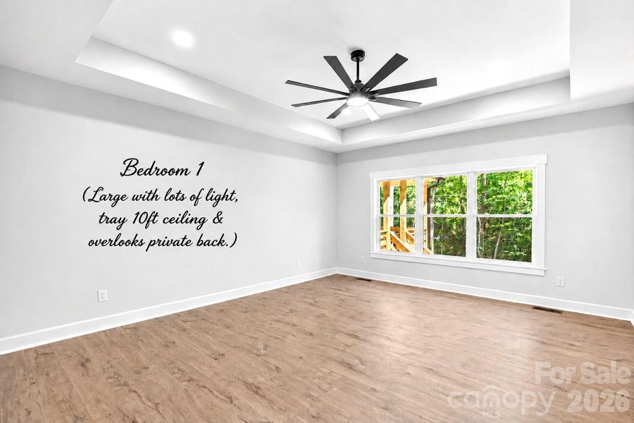 Main Bedroom is large with tray ceiling.