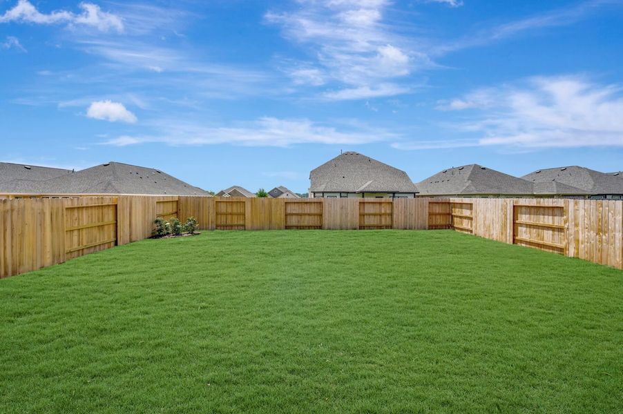 Backyard