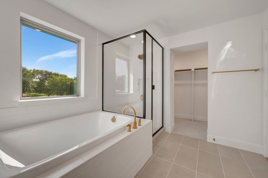 Owner's Bath Owner's Bath