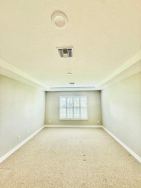 Enormous Master Suite, Tray Ceiling