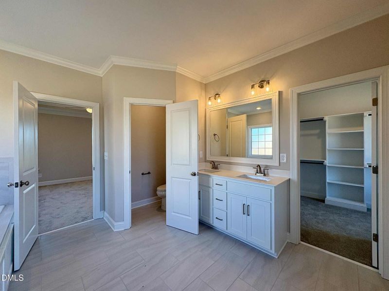 e73a611e-e99a-42d8-91a0-9ae63e865c23