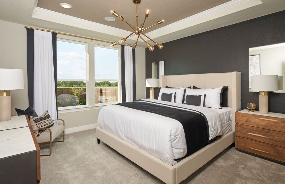 Owner's Suite with Tray Ceilings