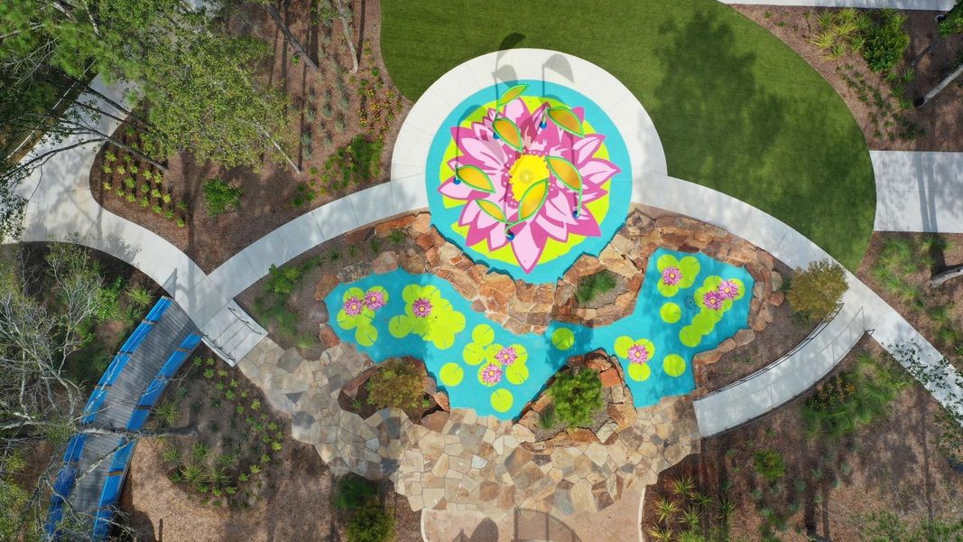 Community amenities in ARTAVIA, Conroe (Image 12).