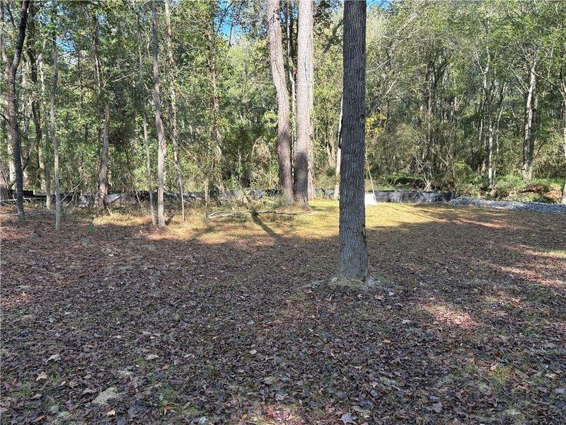 Natural landscape and outdoor views near in Powder Springs (Image 19). Natural landscape and outdoor views near in Powder Springs (Image 19).