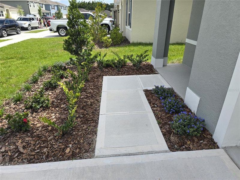 Exterior details and patio area of a home in Charles Cove Express, Davenport (Image 17).