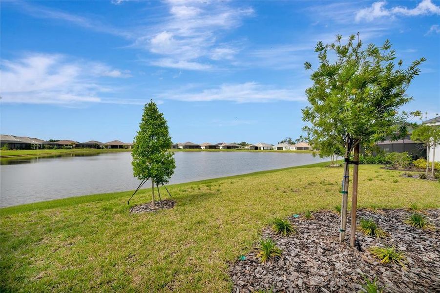Natural landscape and outdoor views near  in Palmetto (Image 85).